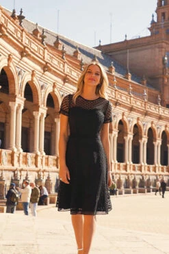 Black Luxe Lace Detail Fit & Flare Dress -SOSANDAR Sales b8d9cc20cd48ffd7c25afc789fcdd3bfd7bb62cc