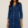 Indigo V Neck Button Front Denim Dress -SOSANDAR Sales indigo main