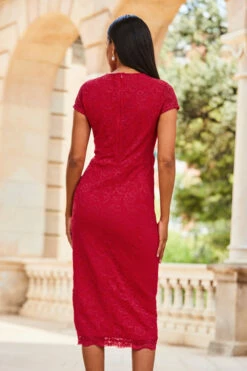 Raspberry Pink Short Sleeve Lace Jersey Dress 12 Raspberry Pink Short Sleeve Lace Jersey Dress -SOSANDAR Sales web 2307 88 s23dj188pk0026 88 131