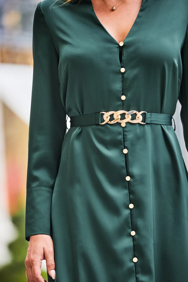 Green Satin Shirt Dress With Luxe Gold Belt 7 Green Satin Shirt Dress With Luxe Gold Belt - Image 5