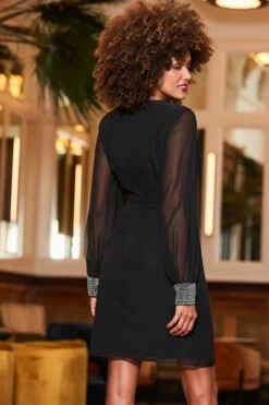 Black Embellished Trim Sheer Sleeve Shift Dress 12 Black Embellished Trim Sheer Sleeve Shift Dress -SOSANDAR Sales web 2310 53 a23dw013bk0001 53 102