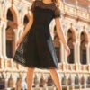 Black Luxe Lace Detail Fit & Flare Dress -SOSANDAR Sales web 42 s22dw063bk 188